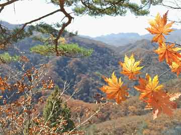 10月5日星期日，农历八月十四，工作愉快，平安喜乐